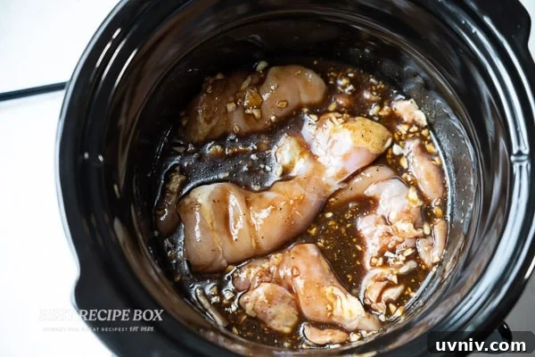 Slow Cooker Honey Mustard Chicken – Moist & Flavorful Recipe 4 chicken added to the pot of slow cooker honey mustard chicken