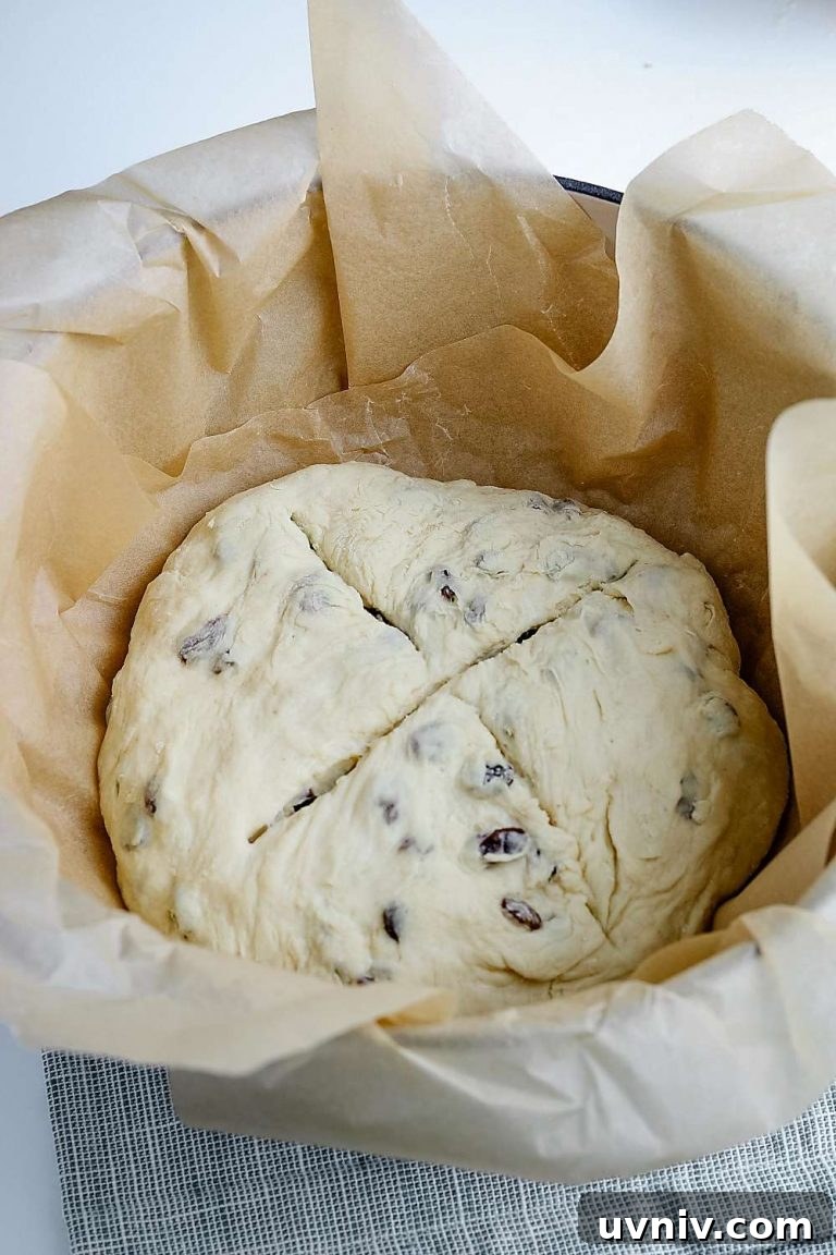 Traditional Irish Soda Bread Recipe for Homemade Loaves 6 shaping the loaf
