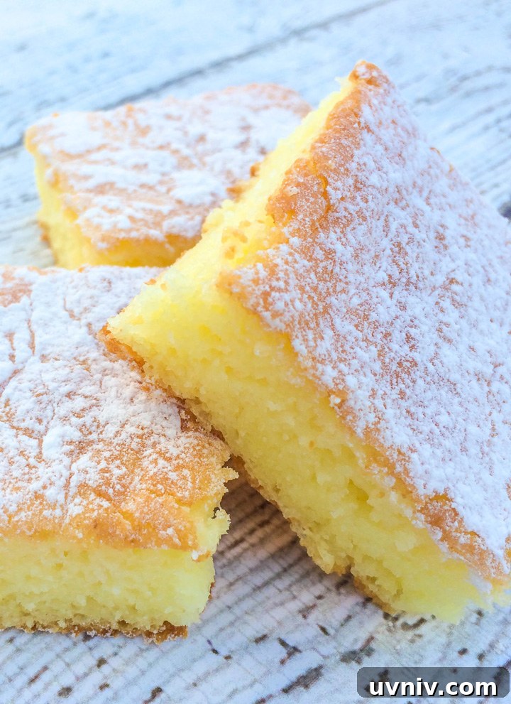 Two-Ingredient Lemon Cake Bars Recipe for Quick Dessert 2 Two Ingredient Lemon Cake Bars