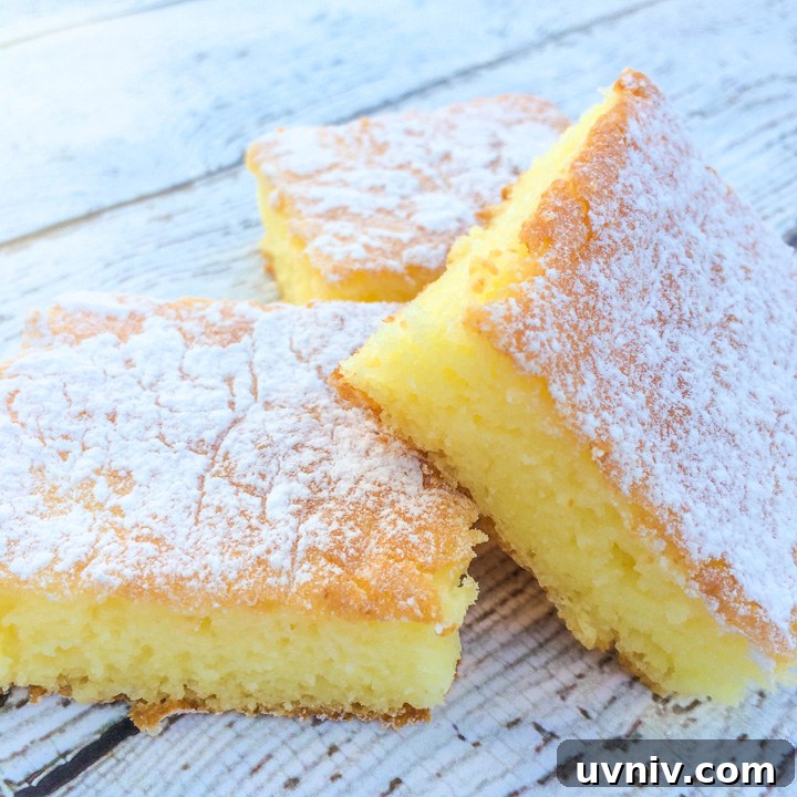 Two-Ingredient Lemon Cake Bars Recipe for Quick Dessert 4 Two Ingredient Lemon Cake Bars