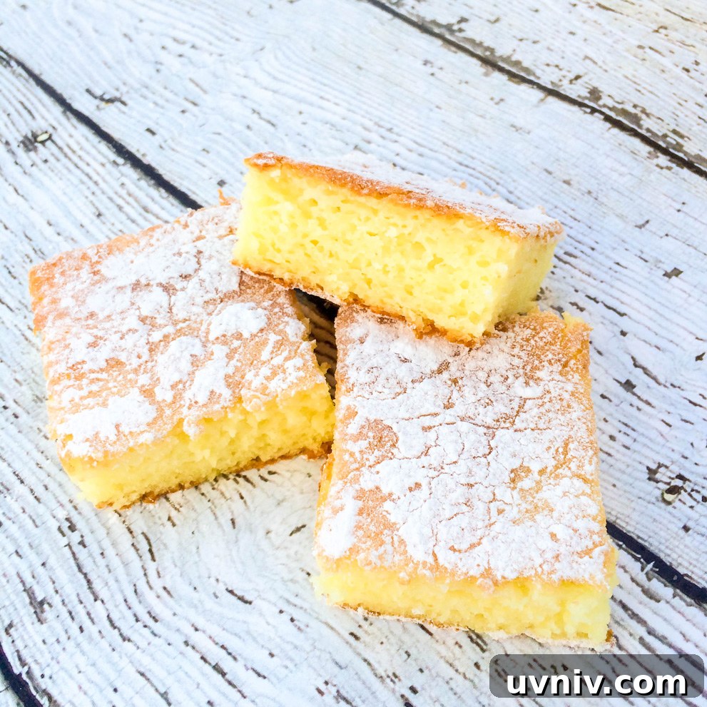 Two-Ingredient Lemon Cake Bars Recipe for Quick Dessert 5 Two Ingredient Lemon Cake Bars
