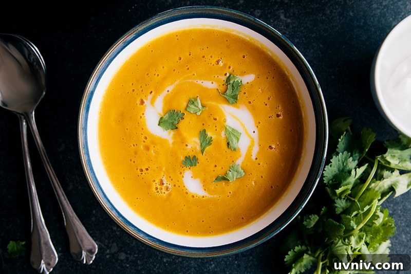 Hearty Spiced Vegetable and Lentil Soup Recipe 2 Comforting Spiced Vegetable & Lentil Soup (vegan + gluten-free)