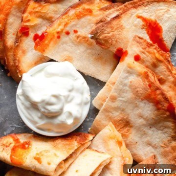 air fryer quesadillas