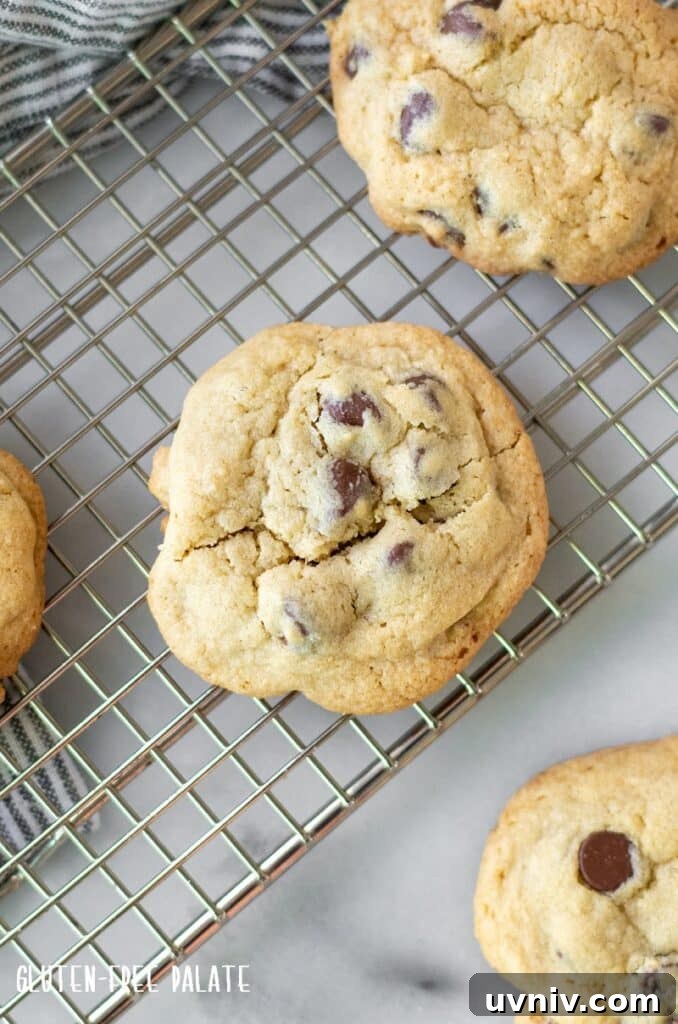 Labor Day Cooking & Baking Deals: Top Discounts on Kitchen Gear 7 a top down view of a gluten free chocolate chip cookie on a wire cooling rack