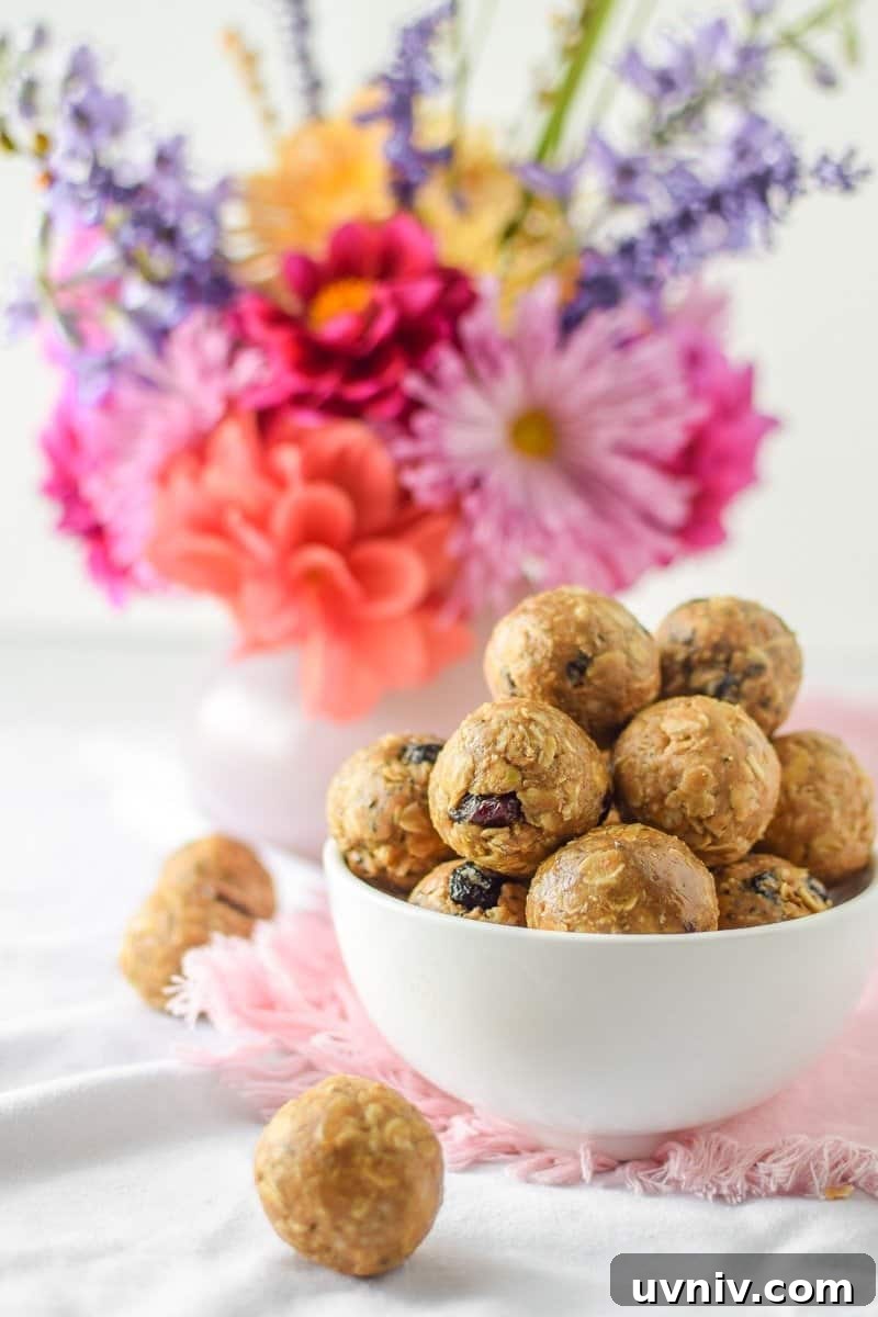 Cannabis Energy Bites: No-Bake Recipe for Lasting Focus 2 No-Bake Cannabis Energy Bites