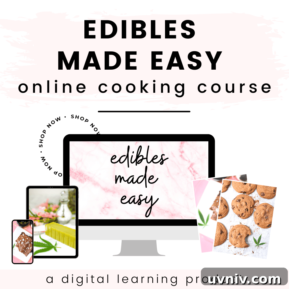 Cannabis Energy Bites: No-Bake Recipe for Lasting Focus 12 Edibles made easy course mockup