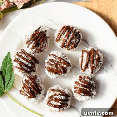 Cannabis Energy Bites: No-Bake Recipe for Lasting Focus 13 A white plate topped with several almond joy cannabis bliss balls garnished with a cannabis fan leaf