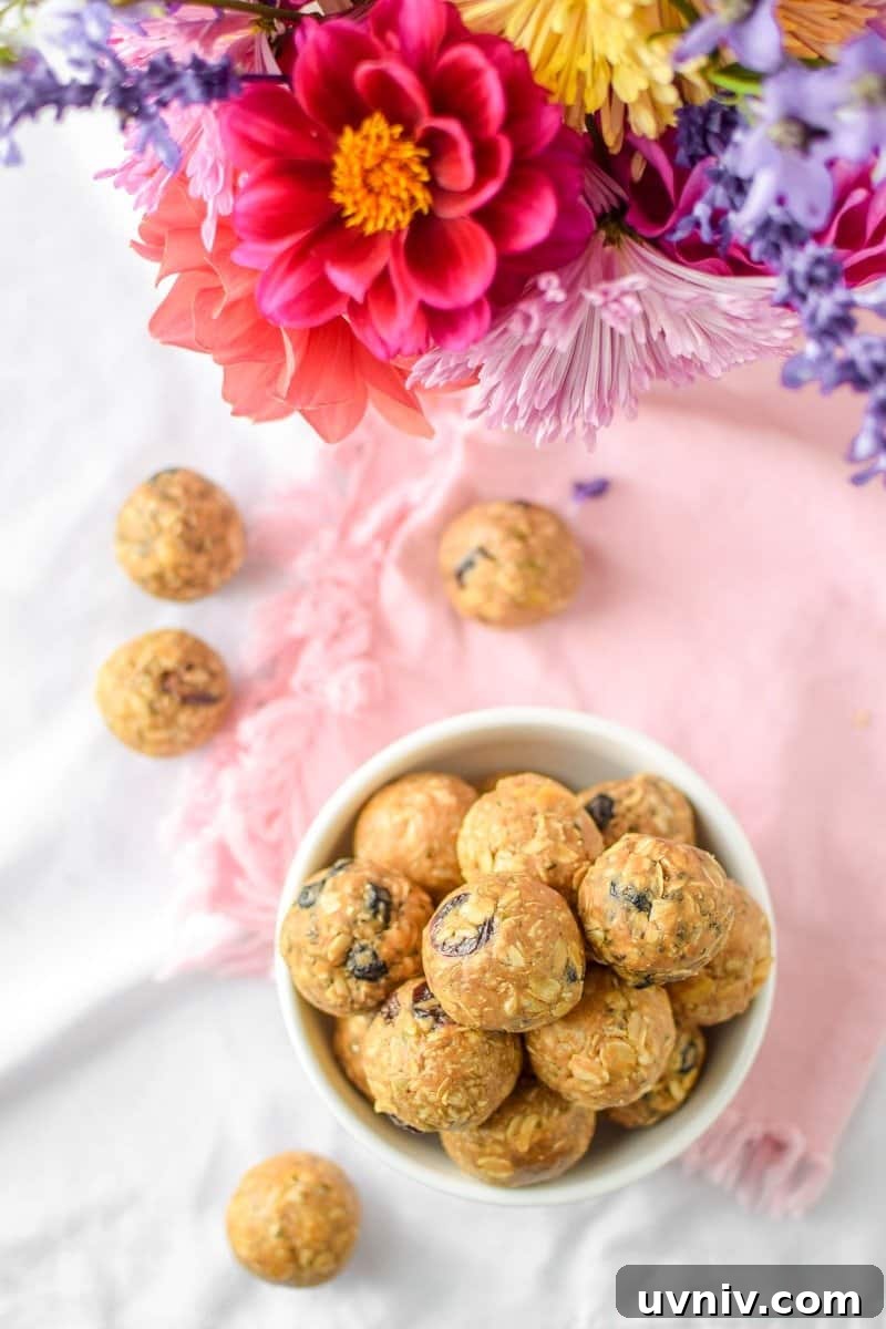 Cannabis Energy Bites: No-Bake Recipe for Lasting Focus 6 No-Bake Cannabis Energy Bites