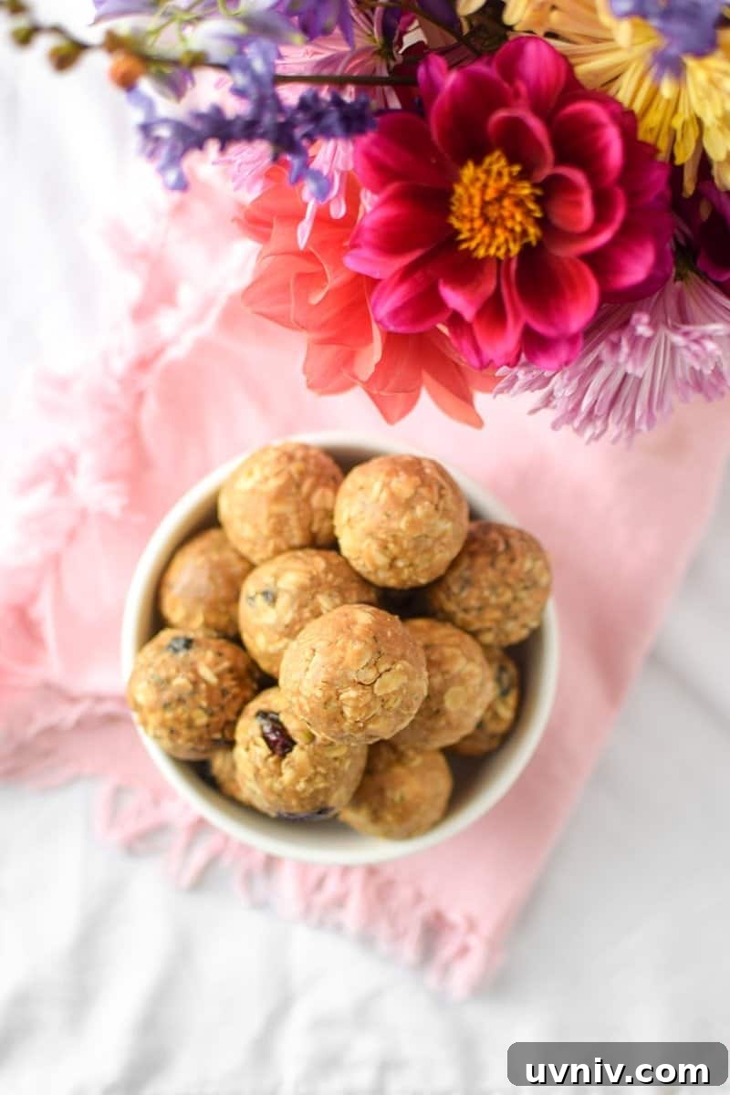 Cannabis Energy Bites: No-Bake Recipe for Lasting Focus 7 Customizable Fruit, Nut & Seed Energy Bites by Emily Kyle Nutrition