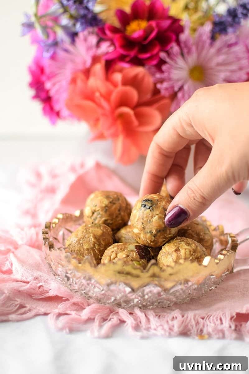 Cannabis Energy Bites: No-Bake Recipe for Lasting Focus 8 Customizable Fruit, Nut & Seed Energy Bites by Emily Kyle Nutrition