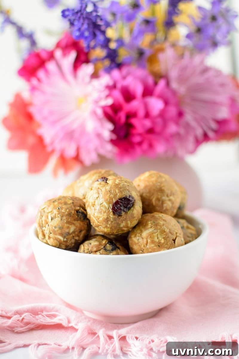 Cannabis Energy Bites: No-Bake Recipe for Lasting Focus 9 Customizable Fruit, Nut & Seed Energy Bites by Emily Kyle Nutrition