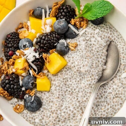 Creamy Chia Pudding Breakfast Bowl with Fresh Fruit & Nuts 14 A chia pudding bowl with blackberries, blueberries, mango, coconut, and granola with a spoon in the bowl.