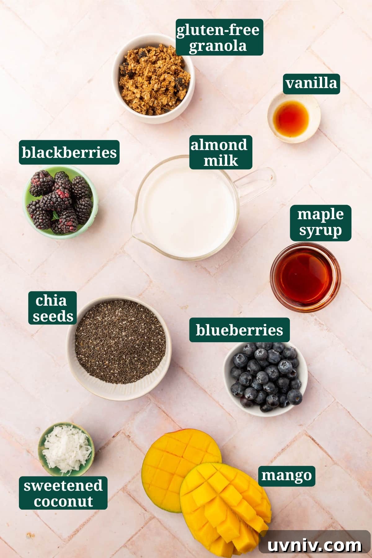 Creamy Chia Pudding Breakfast Bowl with Fresh Fruit & Nuts 3 An overhead view of ingredients in small bowls to make a chia pudding breakfast bowl, including gluten-free granola, blackberries, almond milk, vanilla, maple syrup, chia seeds, blueberries, sweetened coconut shreds, and mango.