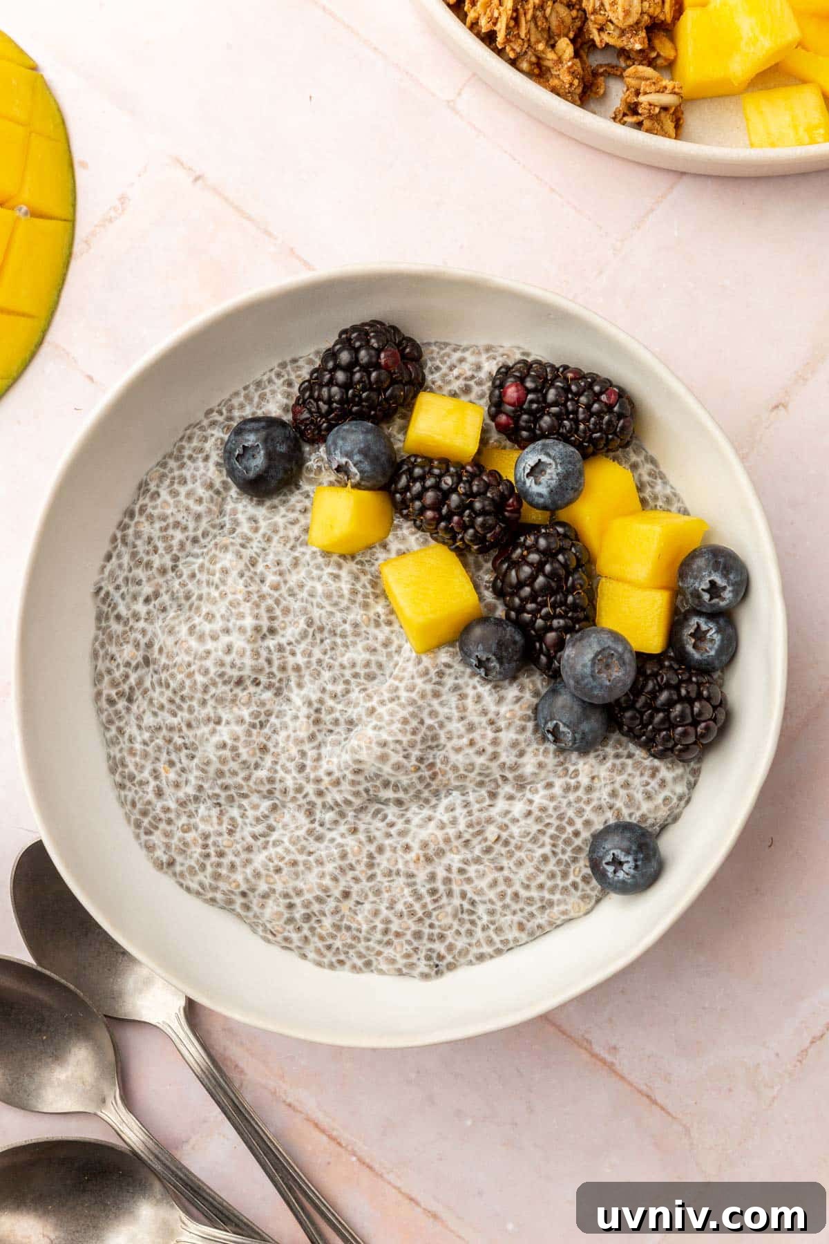 Creamy Chia Pudding Breakfast Bowl with Fresh Fruit & Nuts 8 A bowl of chia pudding topped with diced mango, blueberries, blackberries, and gluten-free granola with two spoons on the side.