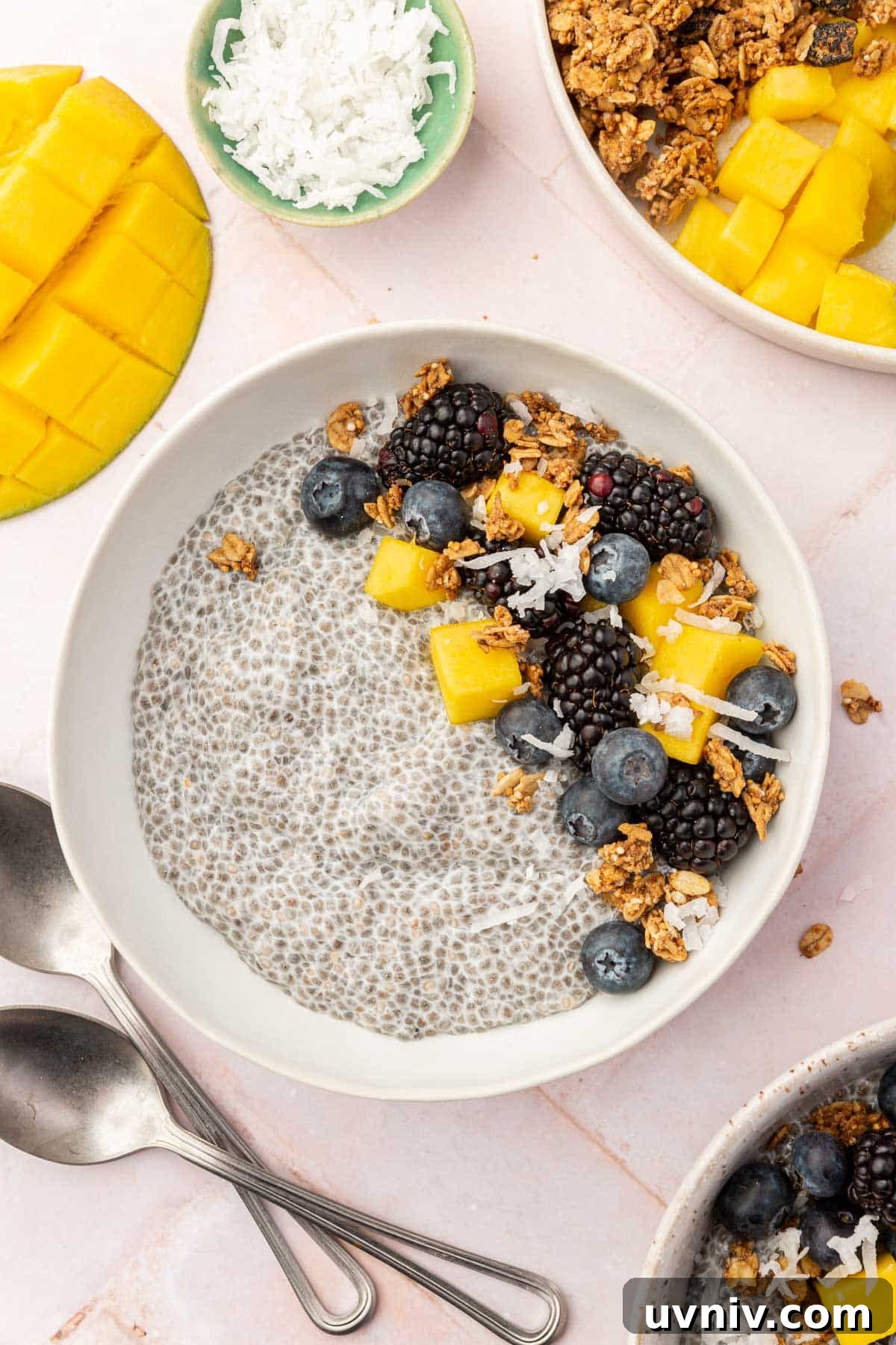 Creamy Chia Pudding Breakfast Bowl with Fresh Fruit & Nuts 9 A bowl of chia pudding topped with mango, blueberries, blackberries, coconut and granola with more toppings surrounding the bowl.