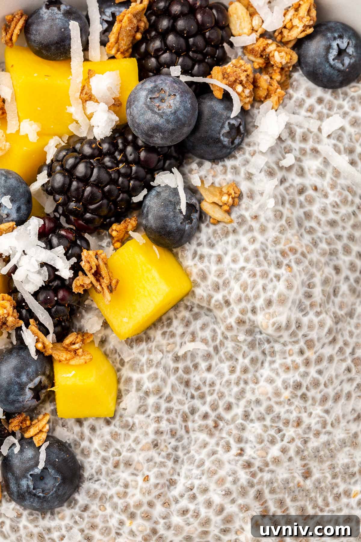Creamy Chia Pudding Breakfast Bowl with Fresh Fruit & Nuts 10 A close up of chia pudding topped with blueberries, blackberries, mango, coconut flakes, and granola.