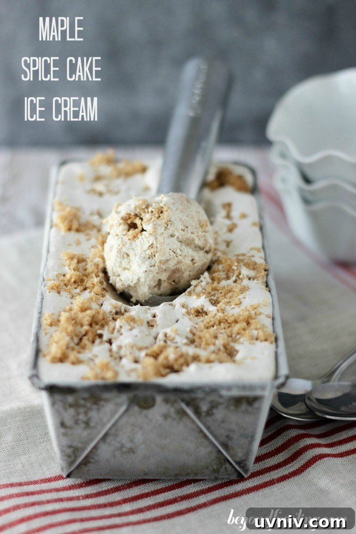 Maple Spice Cake Ice Cream Recipe — Creamy Autumn Dessert 2 Maple Spice Cake Ice Cream - ice cream with the perfect fall flavor!