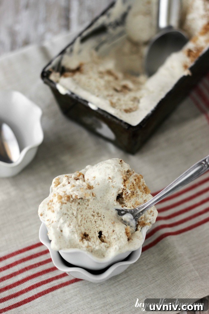 Maple Spice Cake Ice Cream Recipe — Creamy Autumn Dessert 3 Maple Spice Cake Ice Cream - cake mixed into ice cream