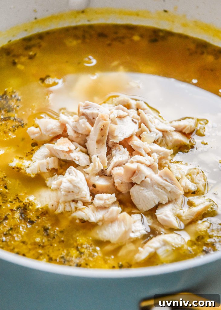 sliced and cut chicken breast added into a soup pot.