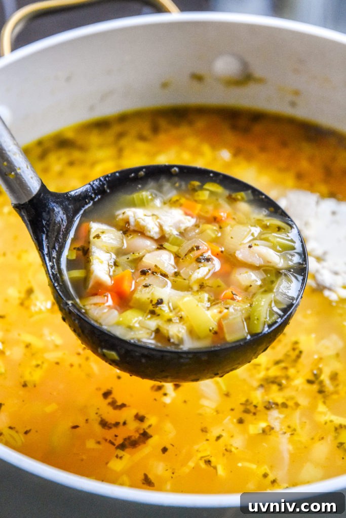 a ladle full of white bean lemon chicken soup over the soup pot.