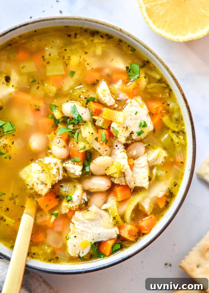 white bean lemon chicken soup in a bowl with a gold spoon.
