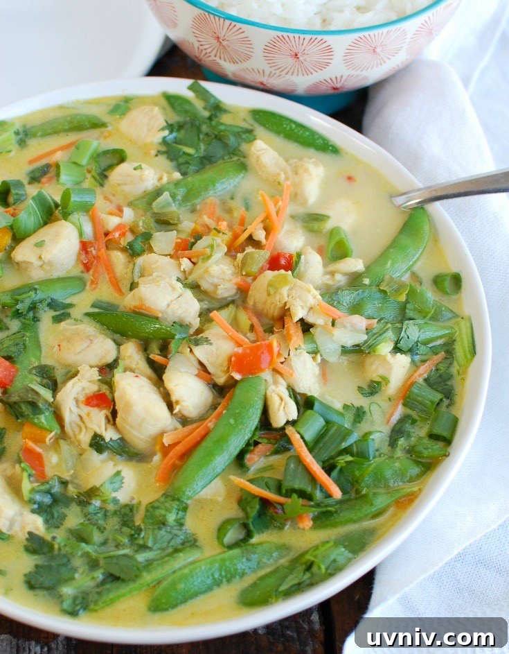 Authentic Thai Green Curry Chicken Recipe with Aromatic Herbs 3 Easy Green Curry Chicken Side View
