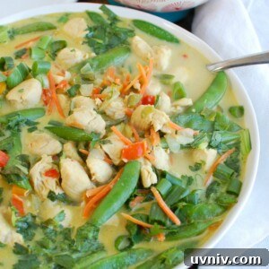 Authentic Thai Green Curry Chicken Recipe with Aromatic Herbs 5 Easy Green Curry Chicken Side View
