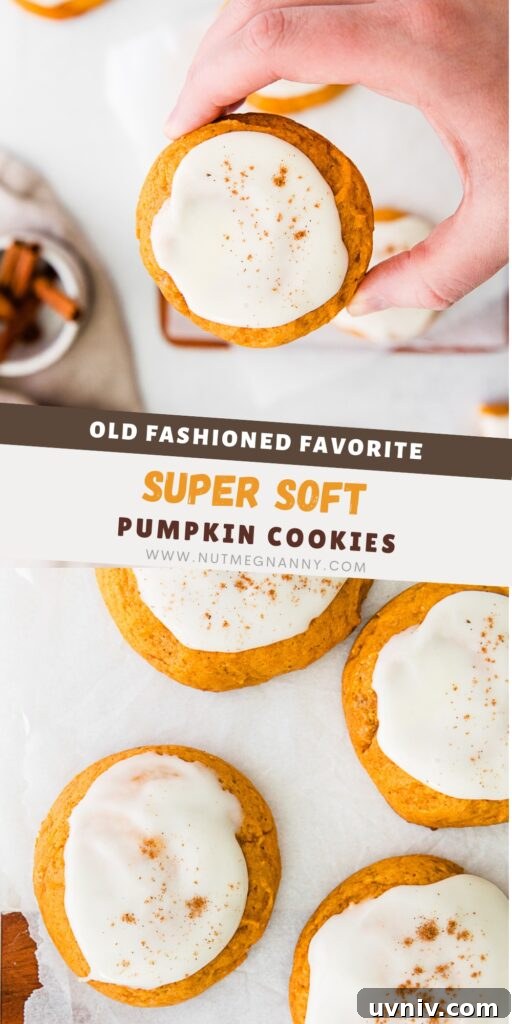 Soft Pumpkin Cookie Recipe for Moist, Fall-Ready Treats 8 Soft Pumpkin Cookies pin for Pinterest.