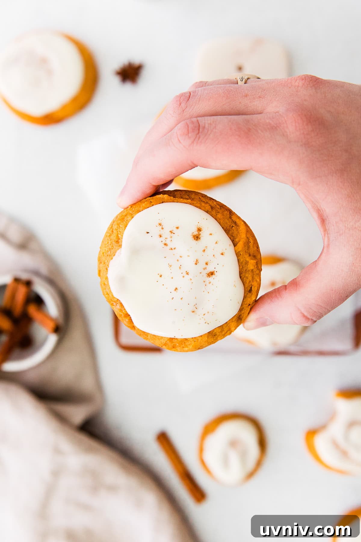 Soft Pumpkin Cookie Recipe for Moist, Fall-Ready Treats 5 A hand holding a Soft Pumpkin Cookie.