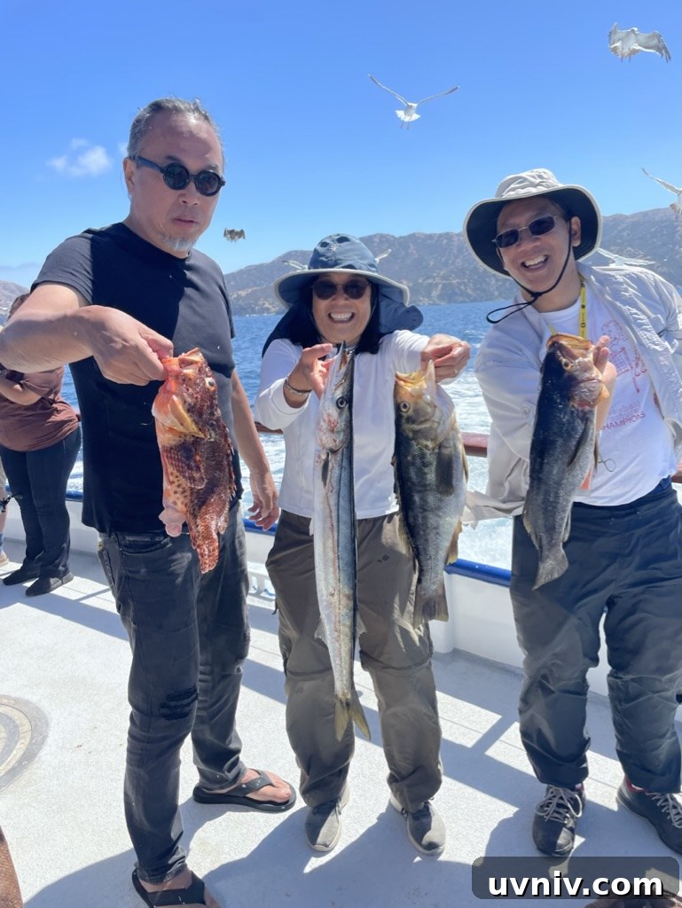 Different fish Different fish
