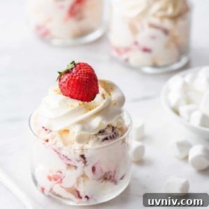 Strawberry Cheesecake Fluff comes together in less than 10 minutes and is the perfect dessert, or side dish for any occasion.