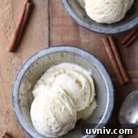 Brown Butter Cinnamon Ice Cream Recipe — Rich, Caramelized Flavor 5 Scoops of brown butter cinnamon ice cream in bowls with extra cinnamon sticks