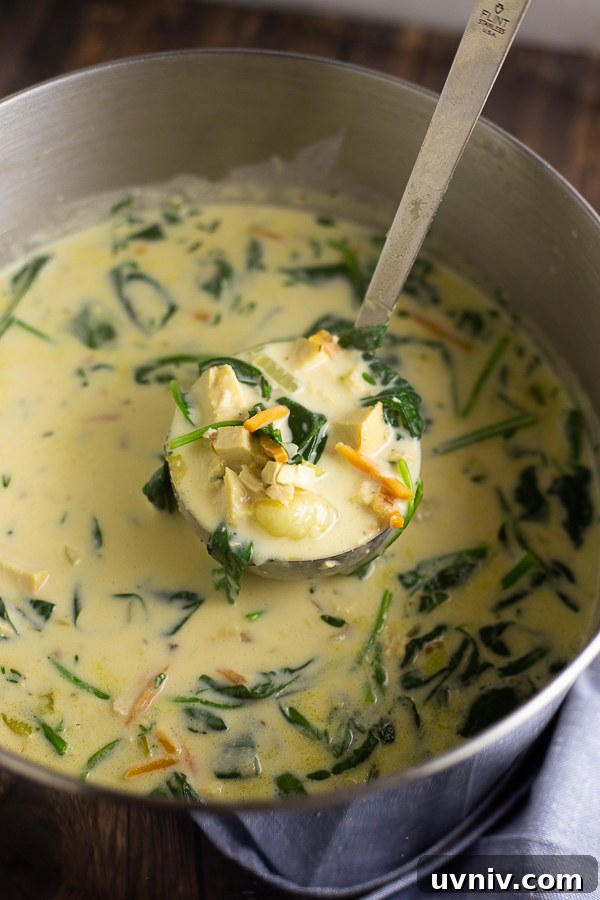 Olive Garden Chicken Gnocchi Soup Recipe (Restaurant-Style) 3 Chicken Gnocchi Soup in a large stainless steel pot with a metal ladle in the middle