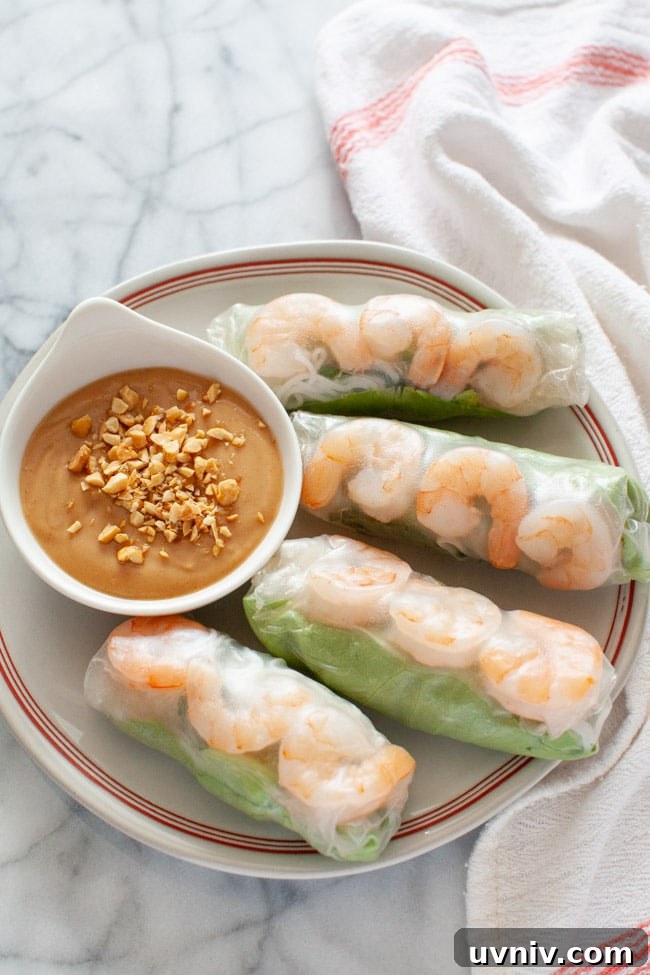 Fresh Vietnamese Spring Rolls with Creamy Peanut Dipping Sauce 2 Vietnamese Spring Rolls with peanut dipping sauce on a plate with a napkin in the background