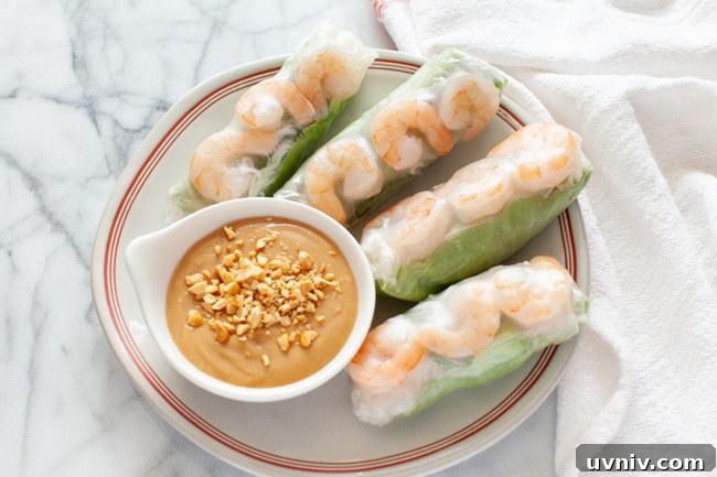 Fresh Vietnamese Spring Rolls with Creamy Peanut Dipping Sauce 3 Vietnamese Spring Rolls with peanut dipping sauce on a plate with a napkin in the background