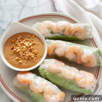 Vietnamese Spring Rolls with peanut dipping sauce on a plate with a napkin in the background