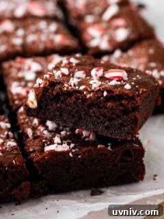 Decadent Peppermint Brownies Recipe for Holiday Baking 18 A closeup of a fudgy peppermint brownie with candy cane pieces.