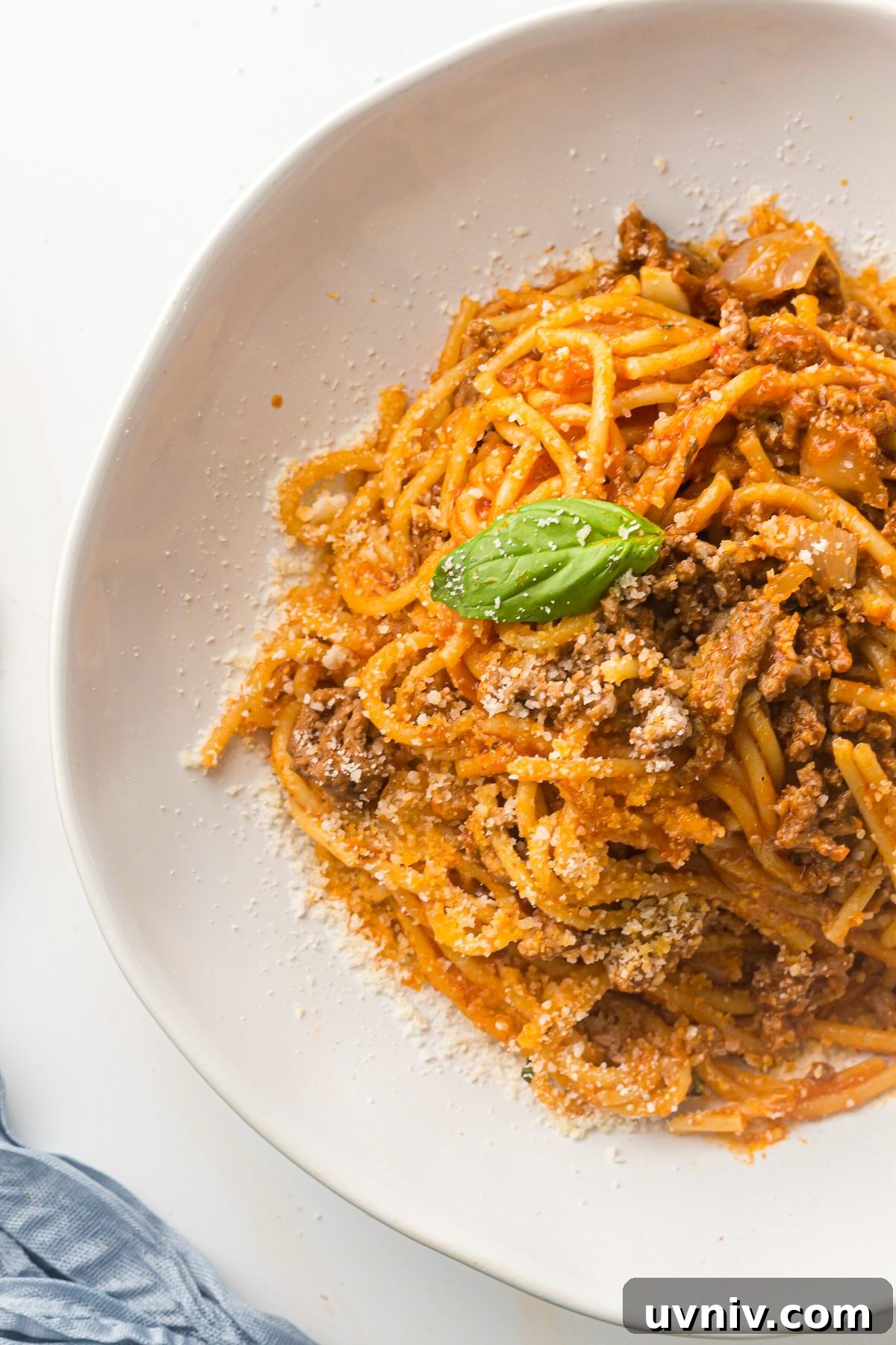 Instant Pot Spaghetti with Savory Meat Sauce 2 A bowl of Instant Pot spaghetti with meat sauce topped with Parmesan cheese and a basil sprig.