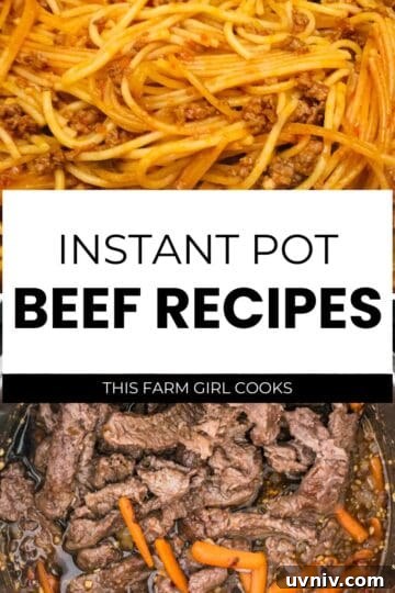Instant Pot beef recipes showing Mongolian beef and spaghetti with meat sauce made in the Instant Pot.