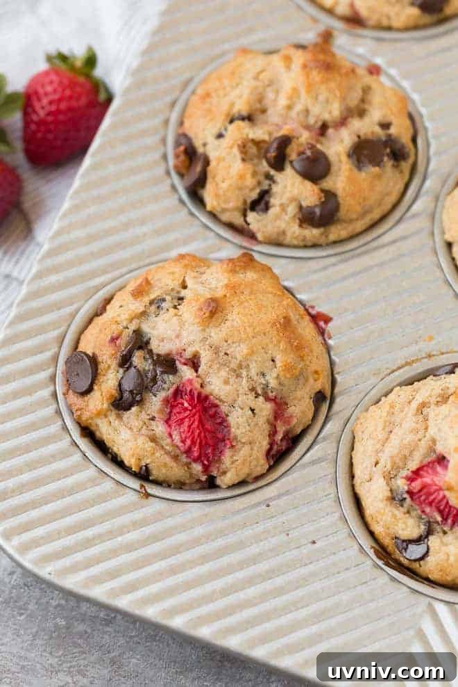 Strawberry Chocolate Chip Muffins Recipe — Moist Summer Muffins 5 Image of fluffy whole wheat muffins with strawberries and chocolate chips in a muffin tin.