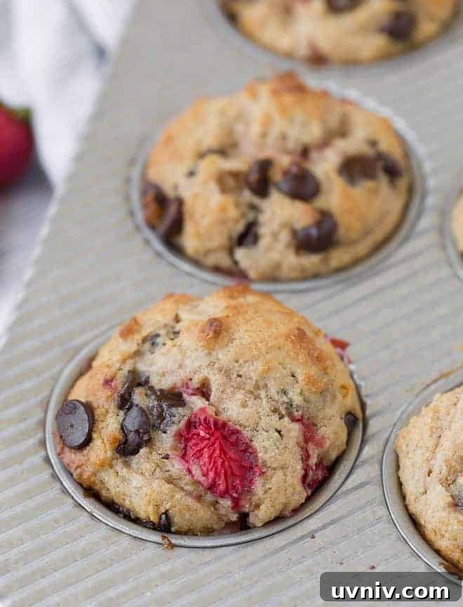 Strawberry Chocolate Chip Muffins Recipe — Moist Summer Muffins 6 Image of muffins in a tin, flecked with strawberries and chocolate chips.