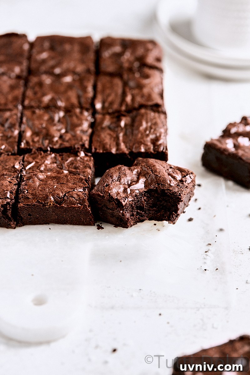 Ultra-Fudgy Crinkle Brownies: Gooey Chocolate Brownie Recipe 2 Ultimate Crinkle Brownies