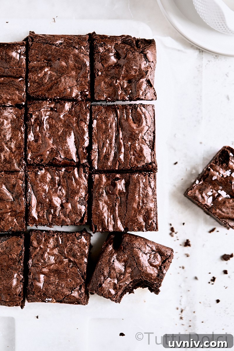 Ultra-Fudgy Crinkle Brownies: Gooey Chocolate Brownie Recipe 3 Ultimate Crinkle Brownies
