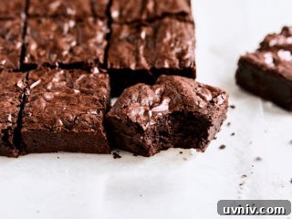 Ultimate Crinkle Brownies