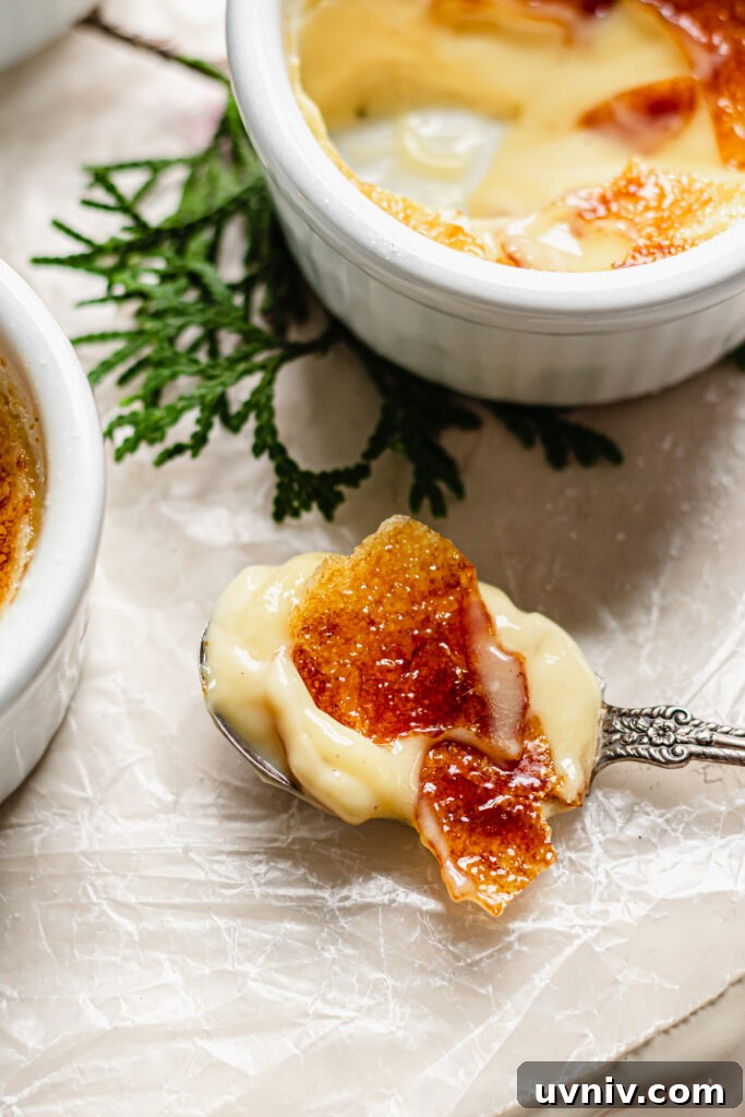 Eggnog Crème Brûlée Recipe: Silky Custard with Caramelized Top 3 Custard close-up