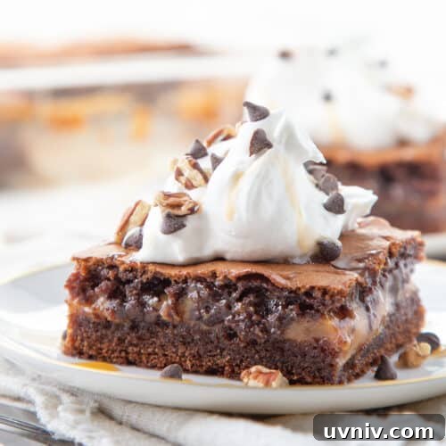 turtle cake slice topped with whipped cream on a white plate.