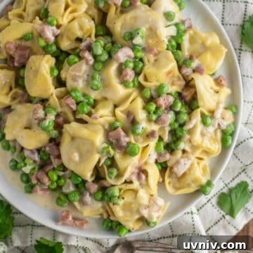 Creamy Tortellini with Parmesan Sauce recipe 11 overhead shot of tortellini alla panna on white plate