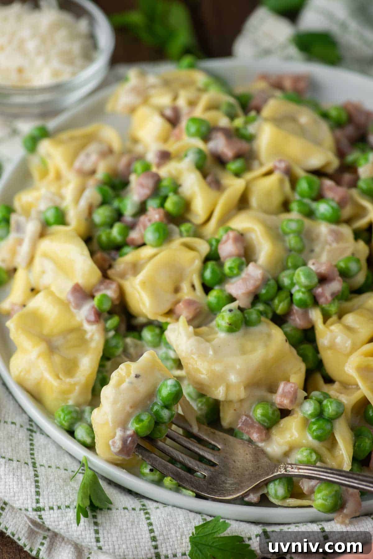 Creamy Tortellini with Parmesan Sauce recipe 6 close-up of tortellini alla panna on white plate with fork