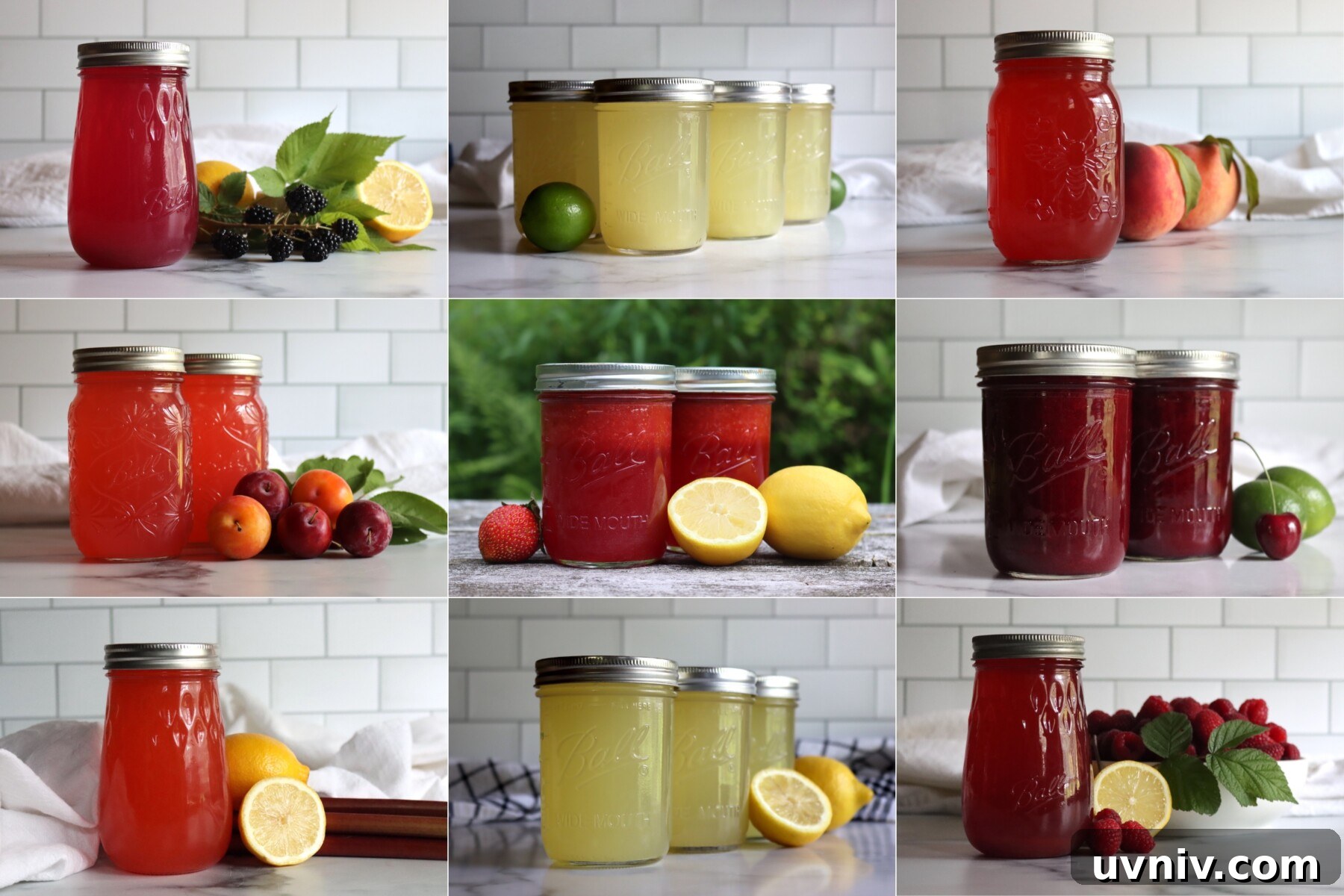 16+ Lemonade Concentrate Recipes for Canning and Preserving 2 Lemonade Concentrate Canning Recipes