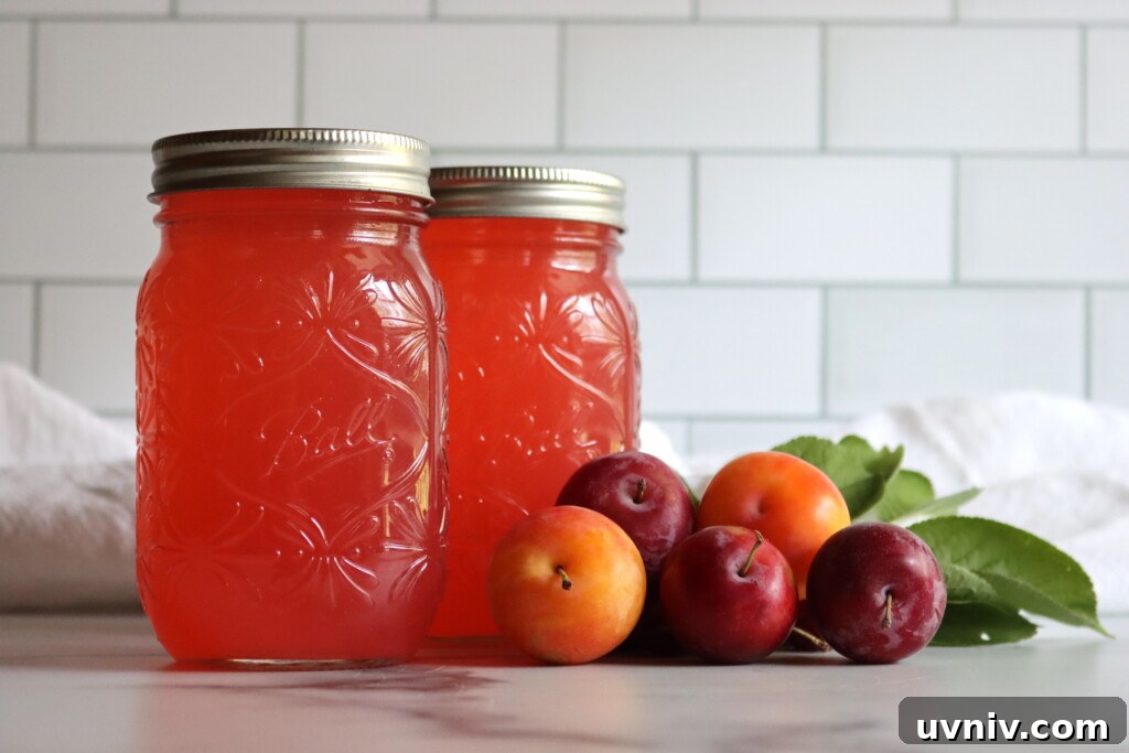 16+ Lemonade Concentrate Recipes for Canning and Preserving 11 Plum Lemonade Concentrate